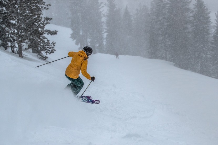 nordica santa ana 100 - the sentinel has a long cut and tapered waistline. we wouldn't call...