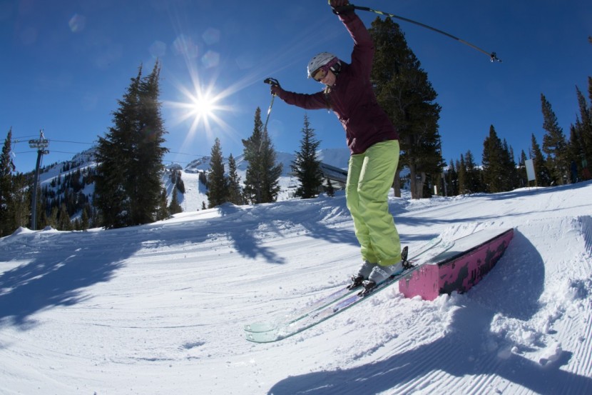 head great joy - the great joys are fun and playful, especially when carving snappy...