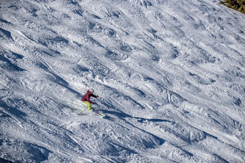 head great joy - lost in a sea of bumps; the great joys were not our favorites in...