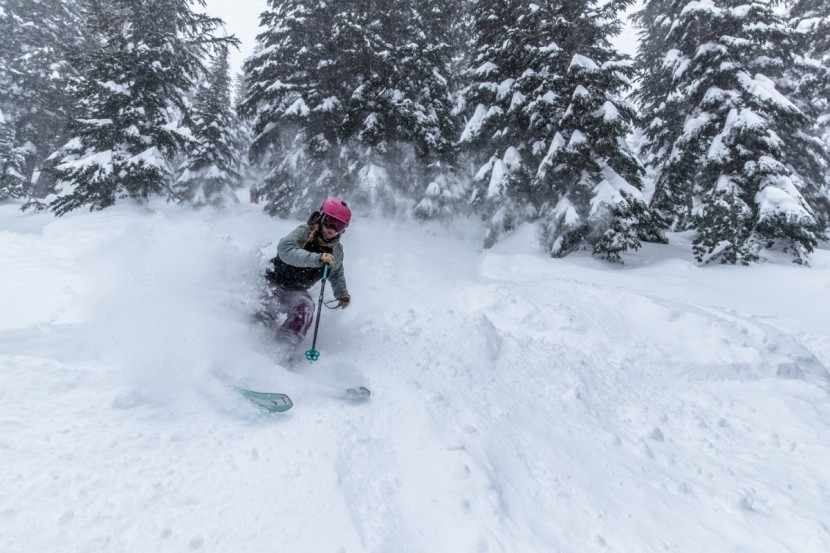 head great joy - the great joys' fat tips plow through the powder and keep you on top...