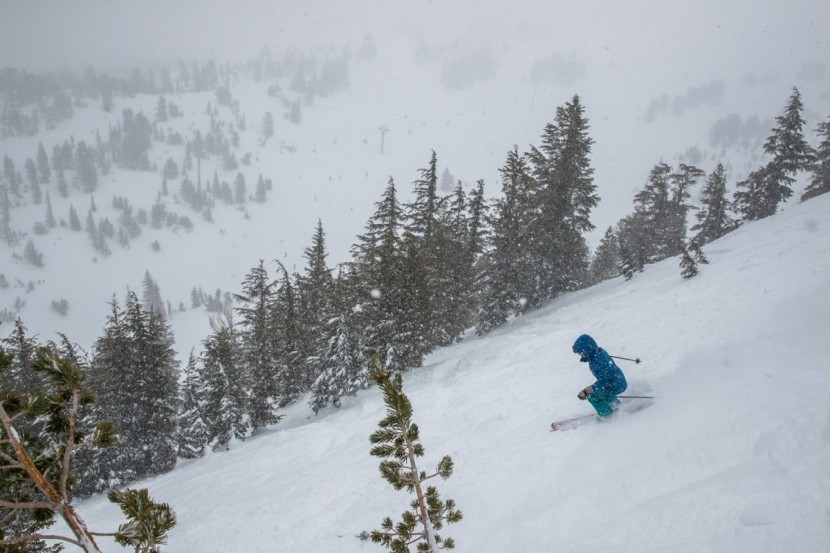 Blizzard Samba Review | Tested & Rated