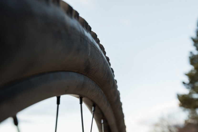 ibis ripley ls 2017 - the rounded sidewall of ibis's front tire, a 2.35" schwalbe nobby...