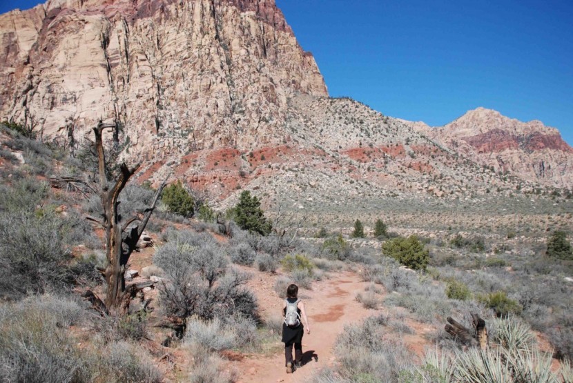 salomon ellipse 3 cs wp for women - heading out for a day hike in the "backyard." if you love to get out...