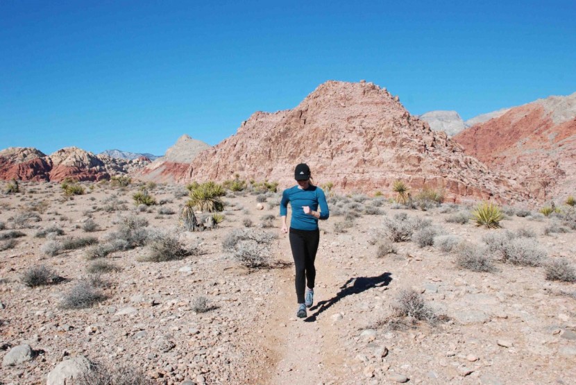 the north face hedgehog fastpack gtx for women - like to hike up the trail and run down? these shoes are a good...