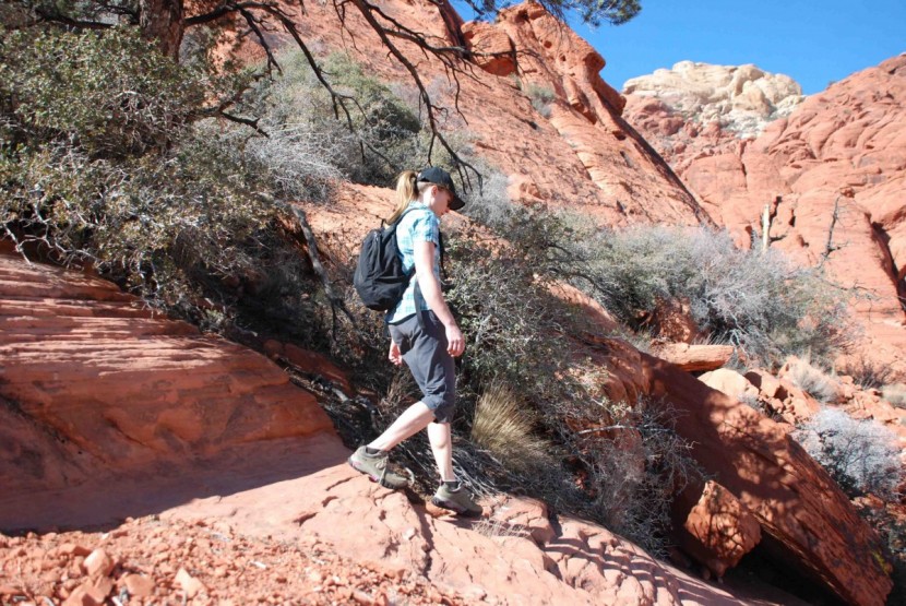 vasque talus trek low ultradry for women - this shoe was stable enough for hiking on uneven terrain with or...