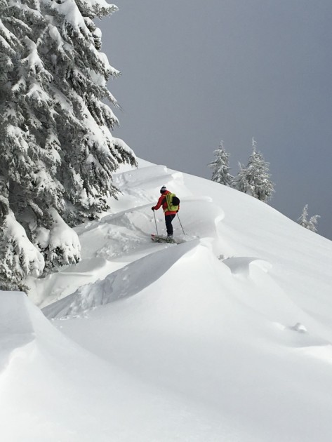 backcountry access float 22 - the float 22 is one of the least expensive airbag packs on the...