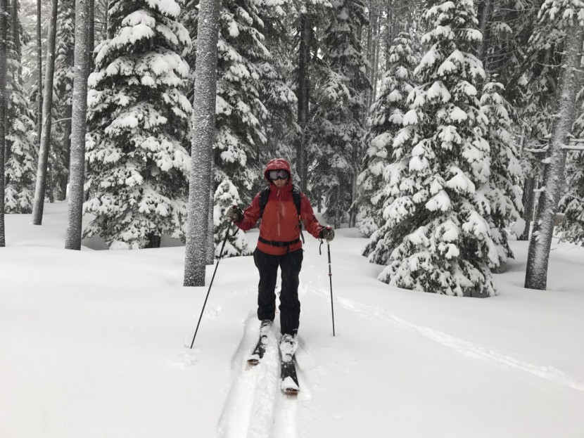 bolle carve - the carve in action on a snowy backcountry skin track, ensuring a...