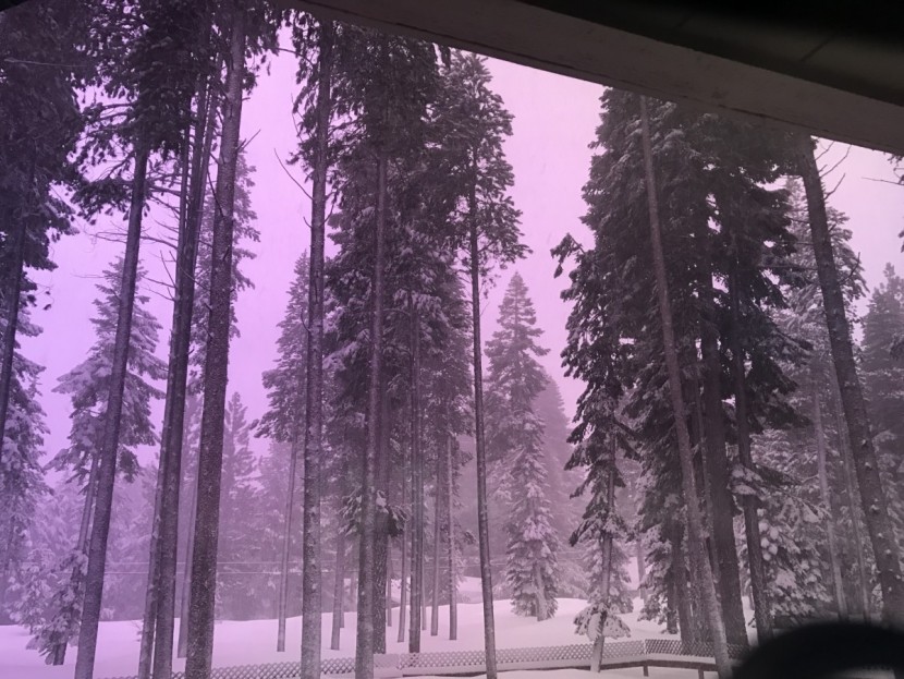 smith i/o7 chromapop - the chromapop lens view on a snowy day.