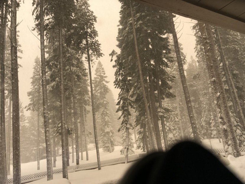 oakley flight deck - the view through flight deck's low light persimmon lens.