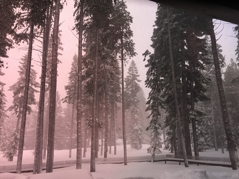 bright light chromapop lens on a low light day.