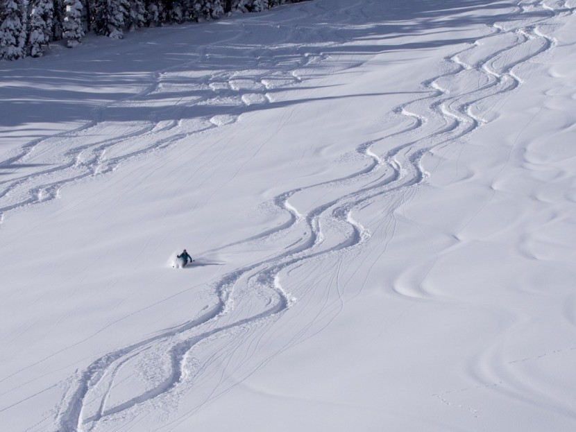tecnica zero g guide - whether the snow is perfect powder sitting on ideal terrain, or...
