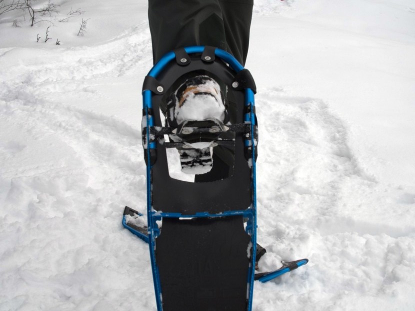 atlas aspect - the clean and simple underside of the aspect belies its incredible...