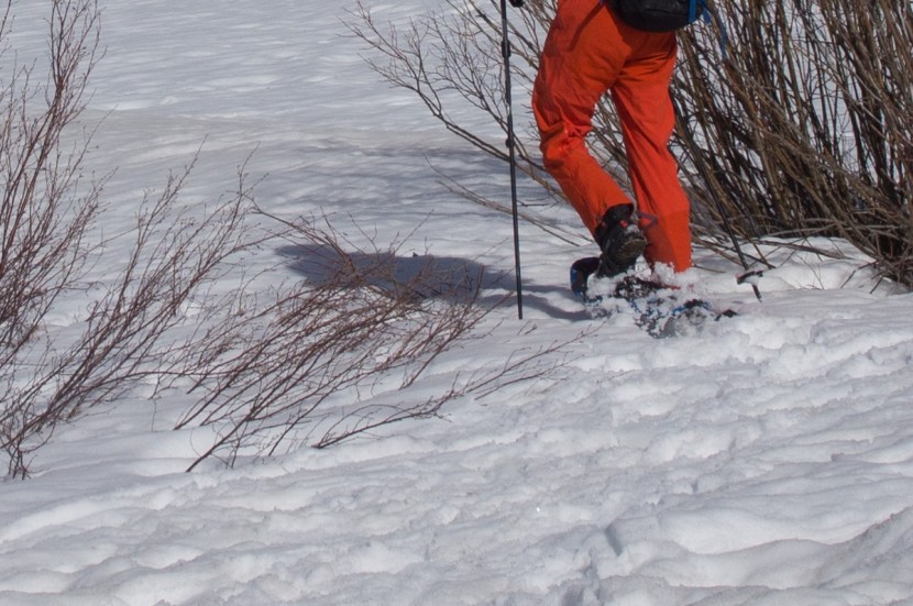 atlas aspect - in mellow terrain, the strapped binding of the atlas aspect provides...