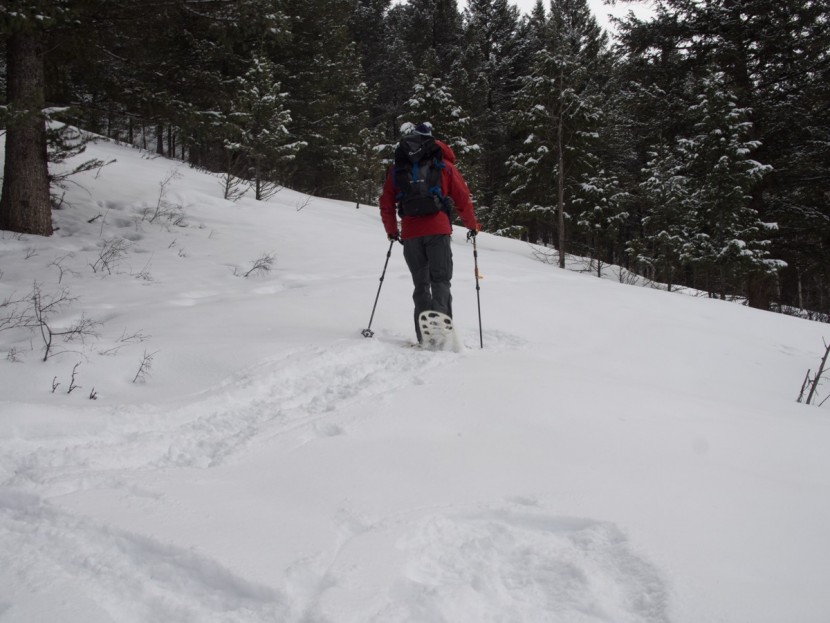 fimbulvetr hikr - for fresh snow, the fimbulvetr's flotation is about average among...