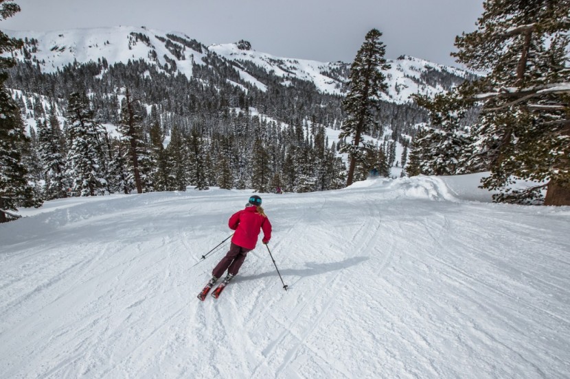 k2 ikonic 84 ti - hello, ikonics!