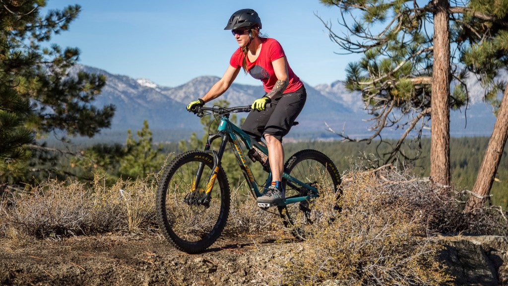 santa cruz bronson x01 eagle 2017 - the bronson is up for anything.