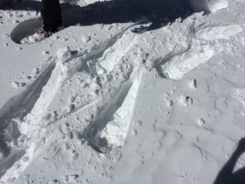 crescent moon gold 13 - because of the narrow teardrop shape and full rotation bindings, the...