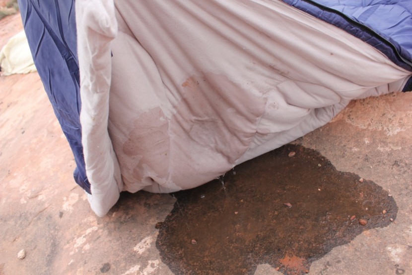 coleman brazos - this photo was taken in may of 2017 during our water-resistance...