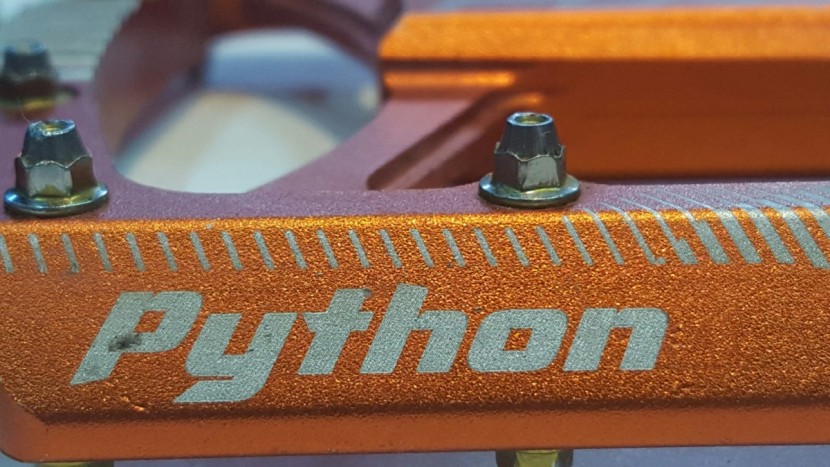 funn python - the grip of these pythons wasn't too constricting.  we could move...