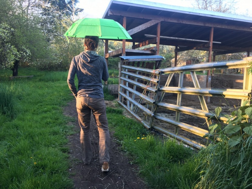 gustbuster metro - gustbuster metro umbrella has a deep canopy that could make it hard...