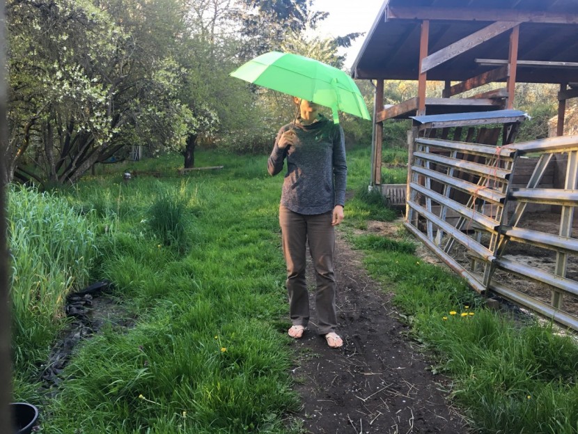 gustbuster metro - gustbuster metro umbrella.