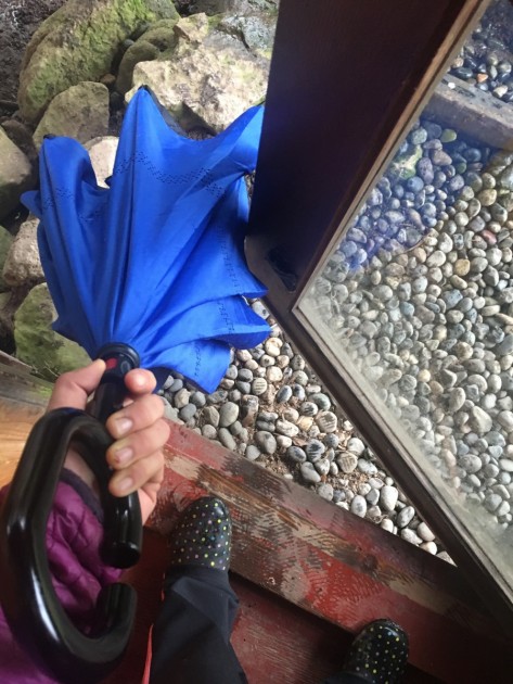 glamore creative cars reverse - this umbrella's canopy closes upward, opposite most standard...