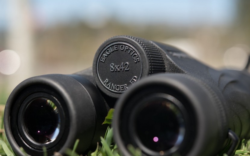 eagle optics ranger ed 8x42 - the ranger ed's focus knob and eyecups are both easy to adjust.