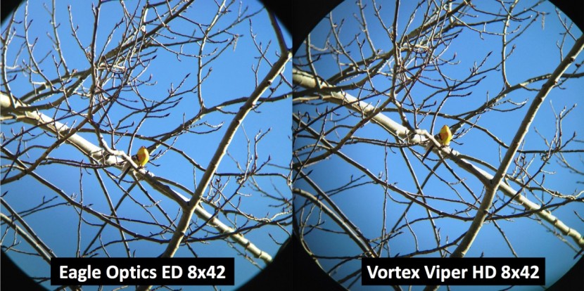 eagle optics ranger ed 8x42 - both the eagle optics ranger ed and the vortex viper offer great...