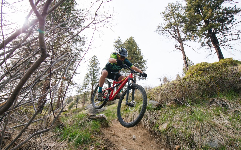 specialized camber comp 29 2017 - as long as things don't get too rowdy, the camber is a reasonably...