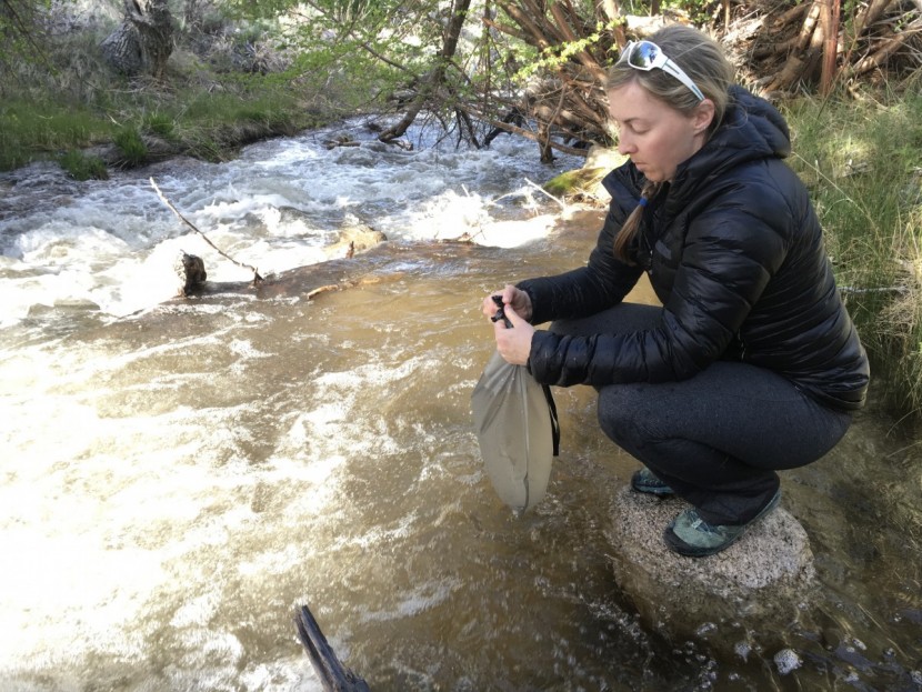 msr autoflow gravity filter - the msr autoflow's roll top is much easier to close than the...