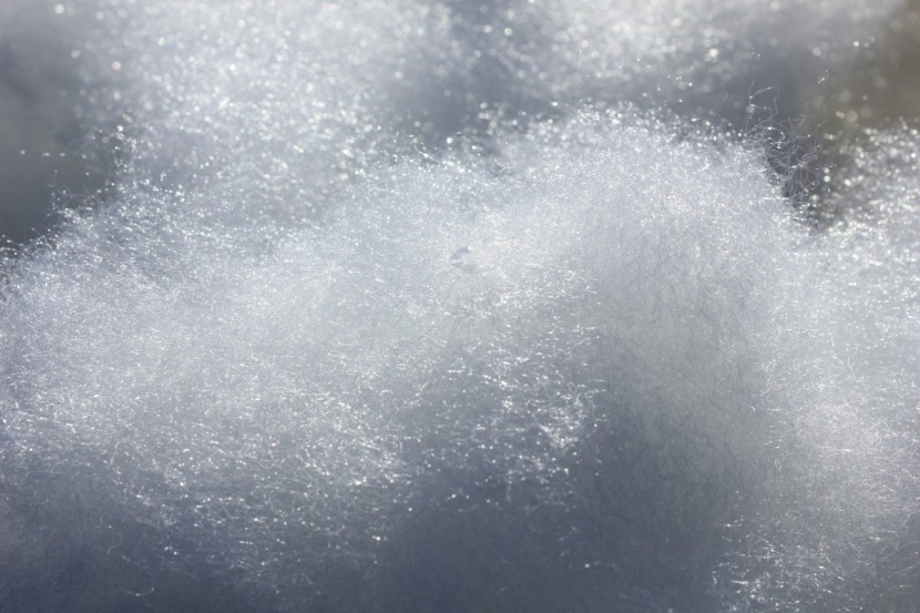 camping sleeping bag - whether it's goose down or synthetic material (above), thermal...