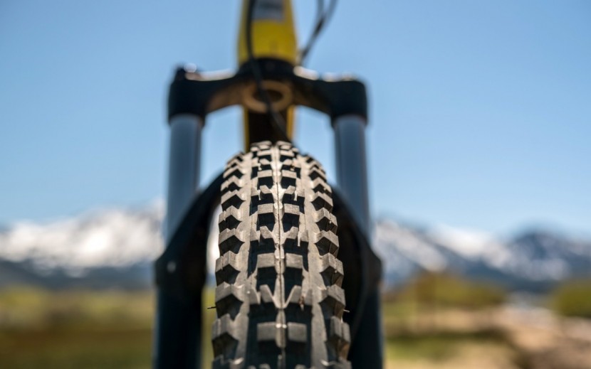 santa cruz tallboy d 29 2017 - our favorite tire in the test, the maxxis minion dhf, provides...