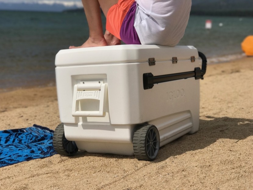 igloo glide pro 110qt - the igloo glide pro feels plenty sturdy enough to use as a seat.