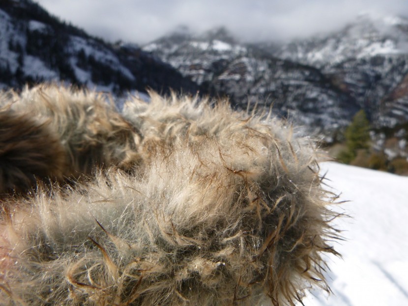 northside kathmandu - the faux fur collar does a great job keeping pesky snow out of the...