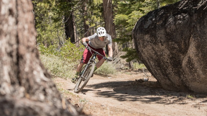 troy lee ruckus - the ruckus descending in its natural environment.