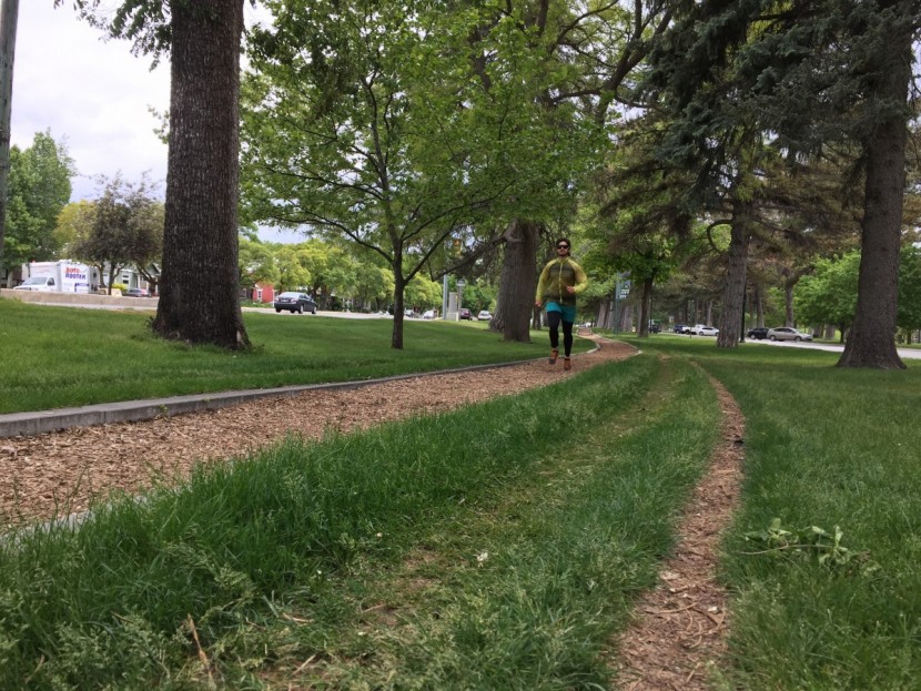 brooks lsd - the lsd was at home on moderate to easy jogs around liberty park...