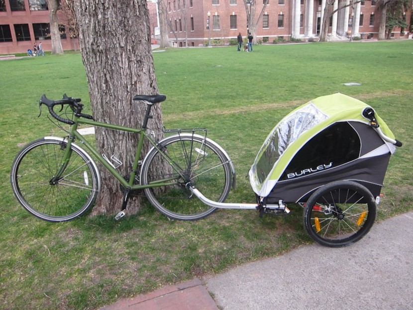 burley d'lite - the d'lite hanging out on the university of nevada, reno quad. even...