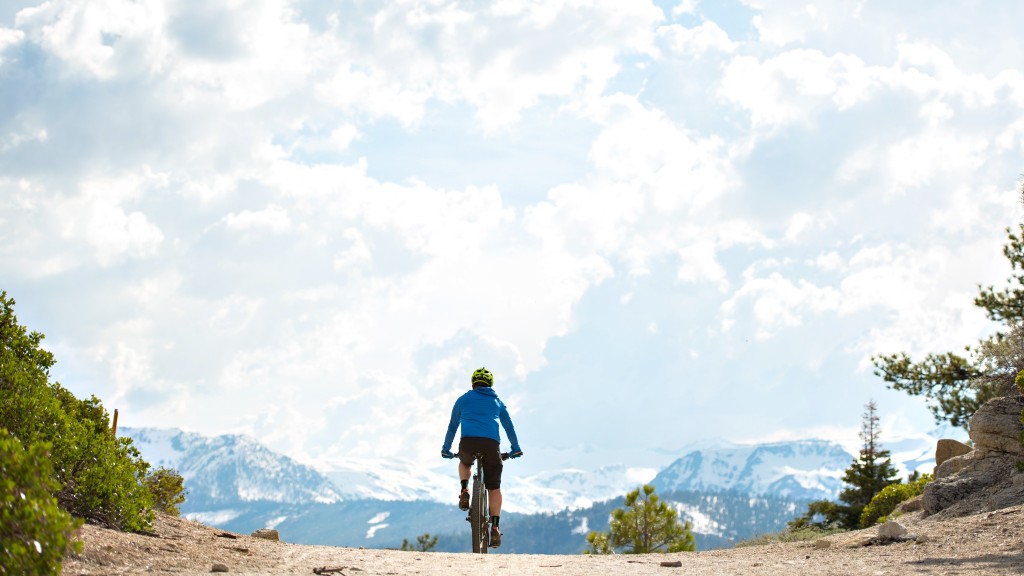 santa cruz chameleon r1+ 2017 - the chameleon is a solid companion provided you enjoy its frisky...