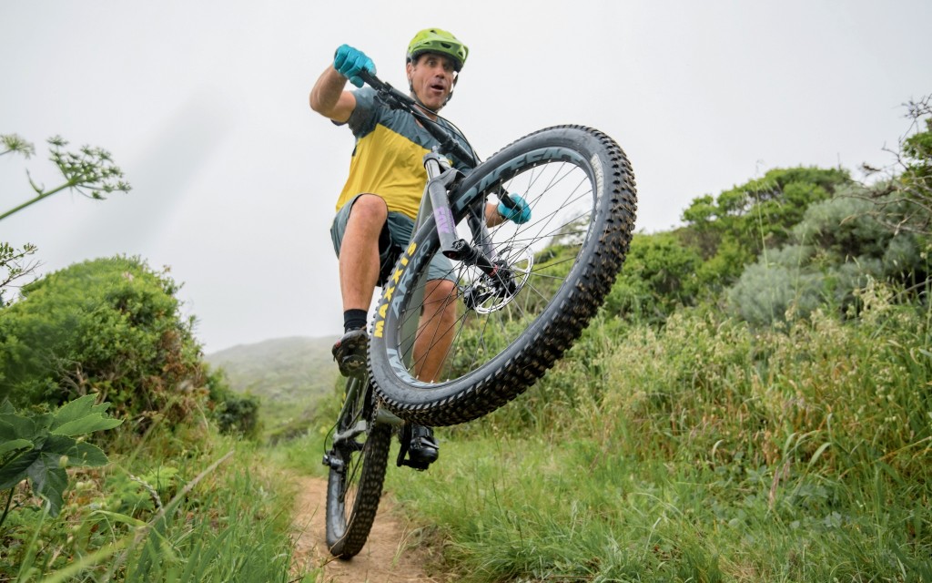 santa cruz chameleon r1+ 2017 - the chameleon enjoys engaging in a wide range of trail shenanigans.