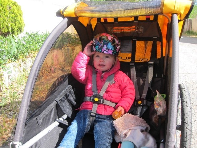 burley bee - the bee is basic for passengers but still provides a comfy and...