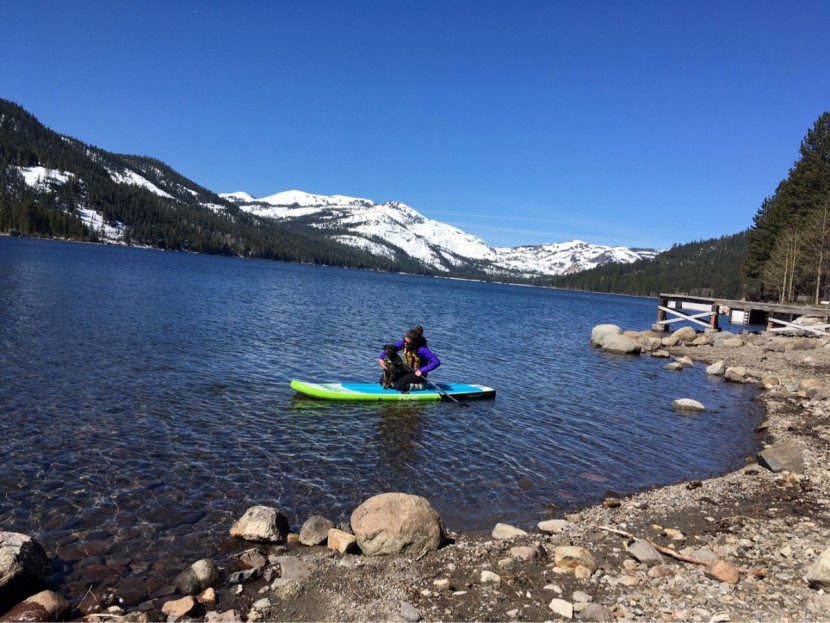 nrs mayra - dog + sup = love