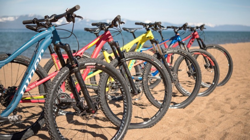 mountain bike - more bikes mean more specific talents and more to maintain.