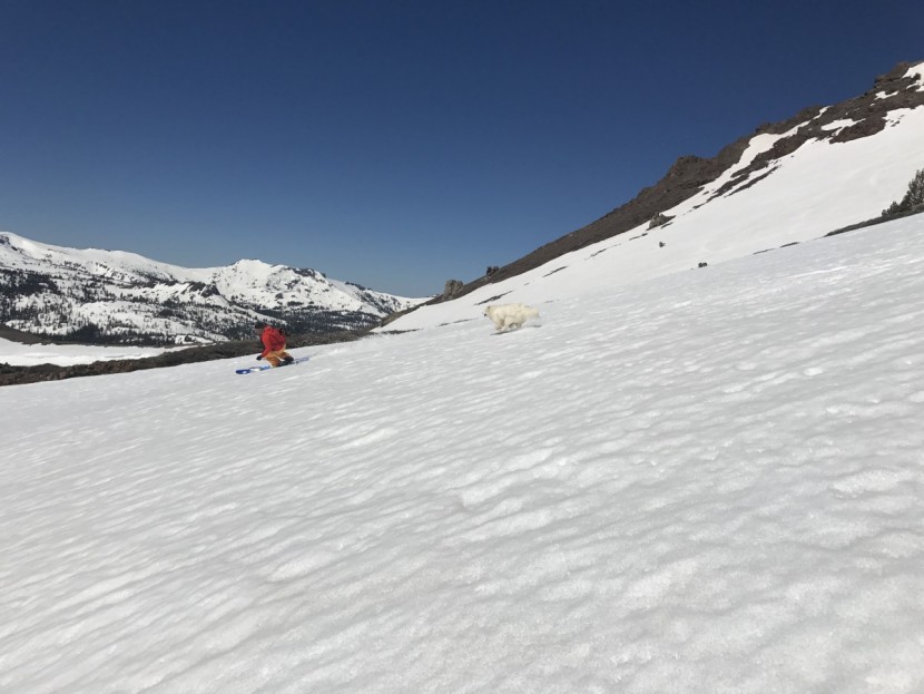 osprey raptor 10 - the pack's storage isn't just for mountain bike riders!