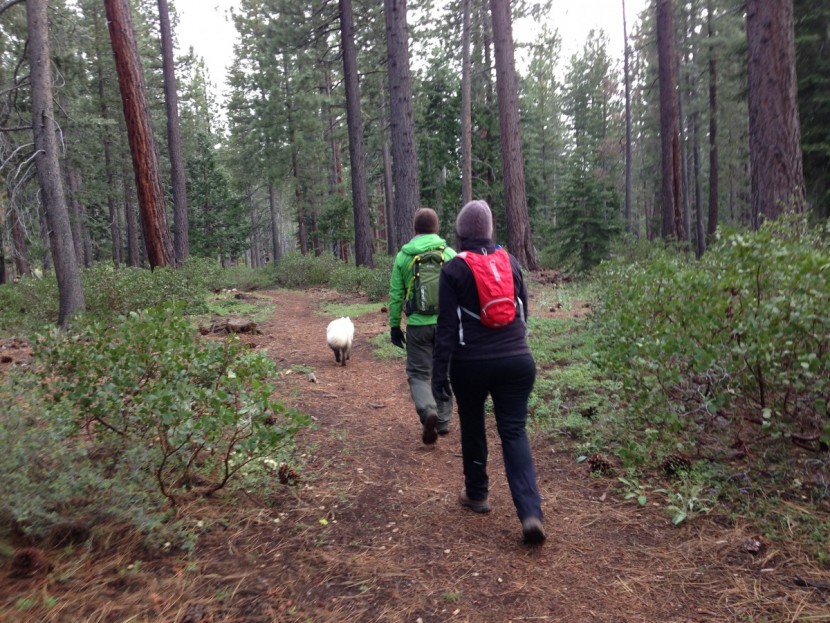 camelbak classic - the classic out for a cold weather hike.