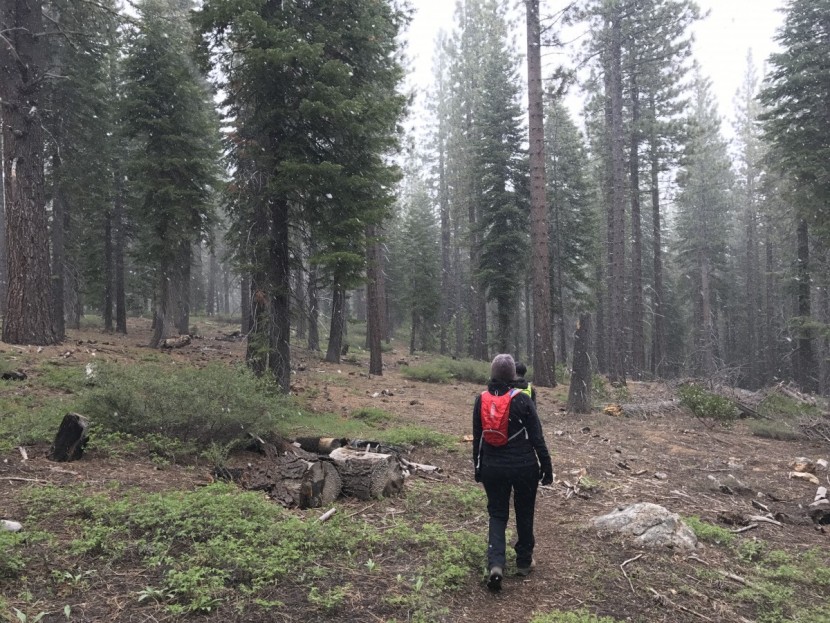 camelbak classic - for hikers, road cyclists, and trail runners this lightweight pack...