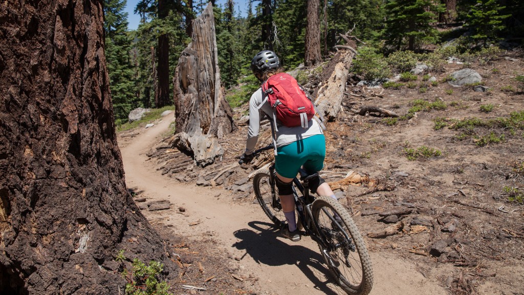 trail mountain bike - the remedy thrives on flowy and sinuous singletrack.