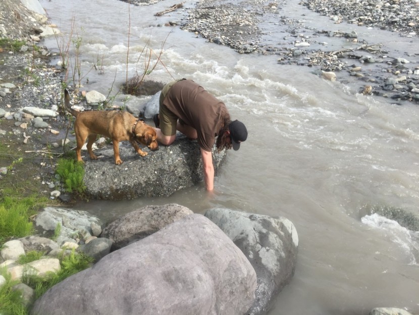 timbuk2 tandem - the timbuk2 tandem didn't fare well during our submersion test...