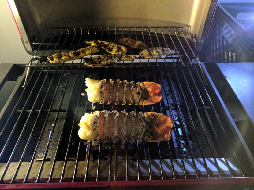 smoke hollow vector series smoking tabletop 3-burner - we loved the warming rack. the vector is the only product we tested...