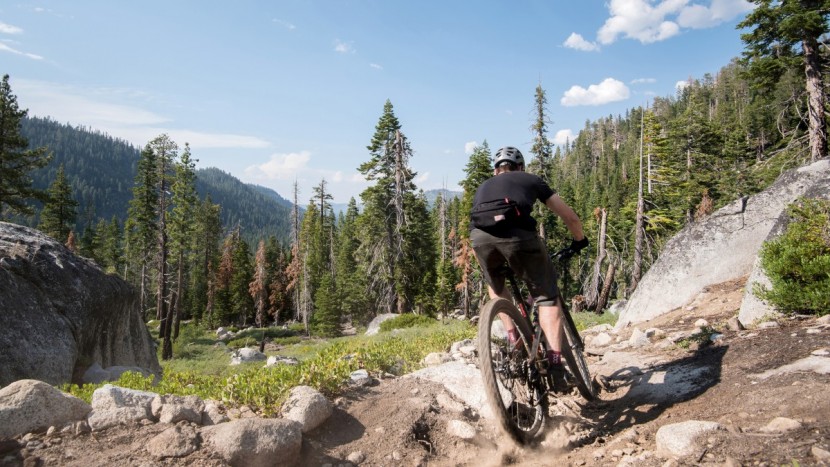 yt capra al comp 2017 - it's hard not to love the component value on the capra.