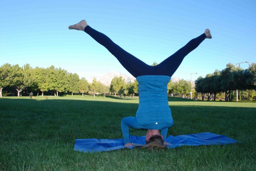 gaiam foldable - we wouldn't try this pose on a hardwood floor with this mat, but on...
